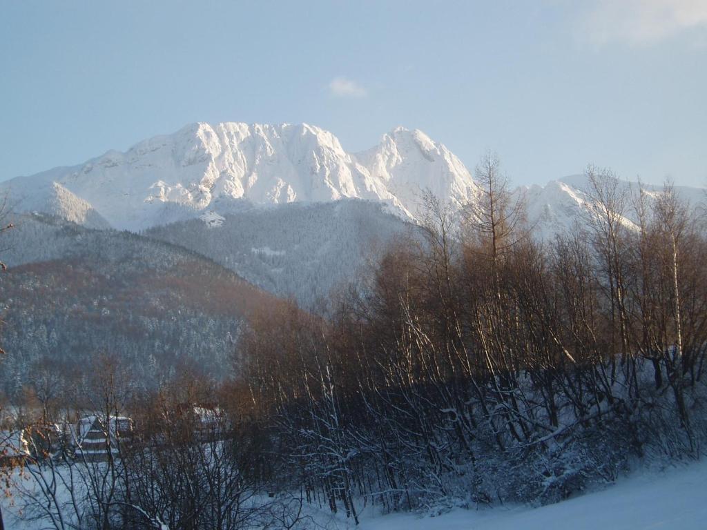 Rusalka Zakopane Exterior foto